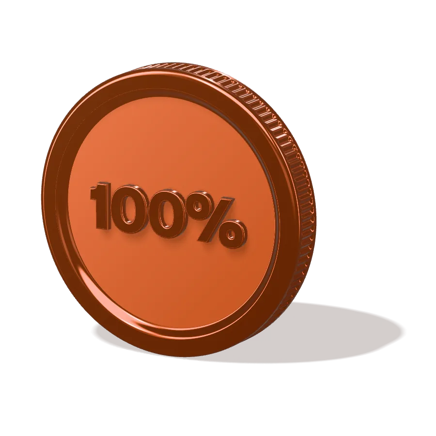 The FundBrave coin turned to its 100% face